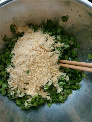 金玉满堂  榆钱饭怎么做，金玉满堂  榆钱饭怎么做好吃，金玉满堂  榆钱饭做法