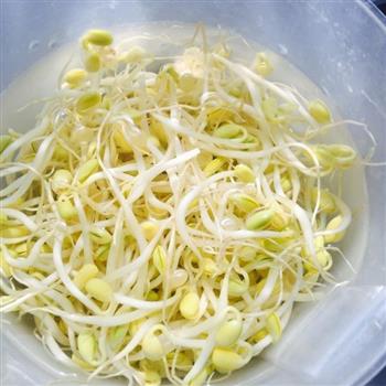 豆芽炖豆腐怎么做，豆芽炖豆腐怎么做好吃，豆芽炖豆腐做法