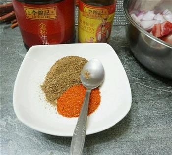 红柳枝羊肉串怎么做，红柳枝羊肉串怎么做好吃，红柳枝羊肉串做法