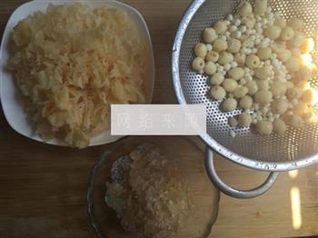 莲子茨实雪耳胶怎么做，莲子茨实雪耳胶怎么做好吃，莲子茨实雪耳胶做法