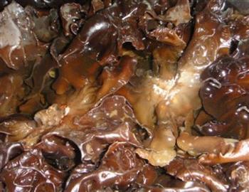 韭菜虾爬肉盒怎么做，韭菜虾爬肉盒怎么做好吃，韭菜虾爬肉盒做法