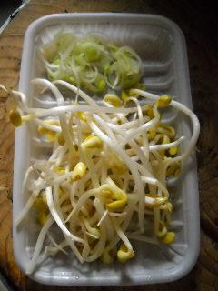 紫菜豆芽饼怎么做，紫菜豆芽饼怎么做好吃，紫菜豆芽饼做法
