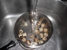 八宝鹌鹑蛋肉粽子怎么做，八宝鹌鹑蛋肉粽子怎么做好吃，八宝鹌鹑蛋肉粽子做法