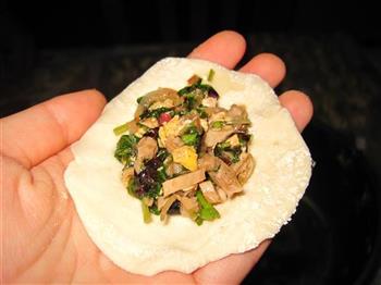 苋菜鸡蛋馅素煎饺怎么做，苋菜鸡蛋馅素煎饺怎么做好吃，苋菜鸡蛋馅素煎饺做法