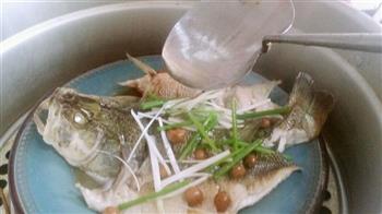 甘树子蒸鱼怎么做，甘树子蒸鱼怎么做好吃，甘树子蒸鱼做法