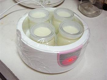酸奶酪怎么做，酸奶酪怎么做好吃，酸奶酪做法
