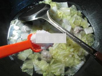 肉丸白菜汤怎么做，肉丸白菜汤怎么做好吃，肉丸白菜汤做法
