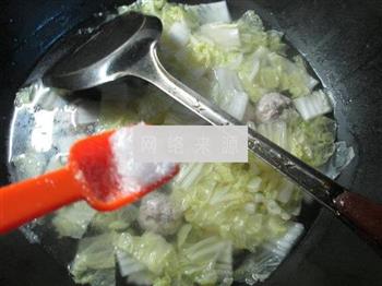肉丸白菜汤怎么做，肉丸白菜汤怎么做好吃，肉丸白菜汤做法