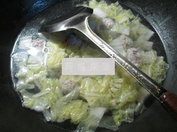 肉丸白菜汤怎么做，肉丸白菜汤怎么做好吃，肉丸白菜汤做法