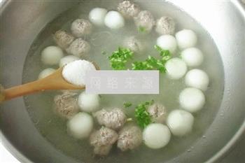 肉丸冬瓜粉丝汤怎么做，肉丸冬瓜粉丝汤怎么做好吃，肉丸冬瓜粉丝汤做法