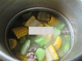 玉米佛手瓜排骨汤怎么做，玉米佛手瓜排骨汤怎么做好吃，玉米佛手瓜排骨汤做法