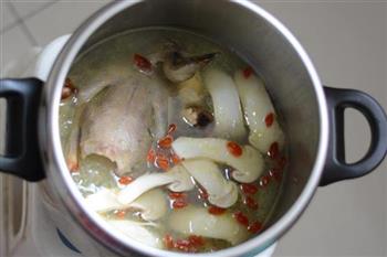 松茸鸽子汤怎么做，松茸鸽子汤怎么做好吃，松茸鸽子汤做法