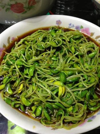 家常清炒黑豆芽怎么做，家常清炒黑豆芽怎么做好吃，家常清炒黑豆芽做法