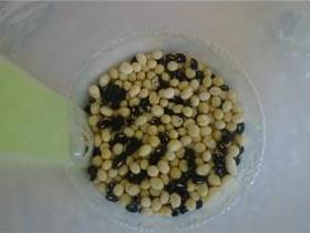 全麦豆渣蒸糕怎么做，全麦豆渣蒸糕怎么做好吃，全麦豆渣蒸糕做法
