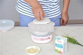 红枣木瓜炖牛奶怎么做，红枣木瓜炖牛奶怎么做好吃，红枣木瓜炖牛奶做法