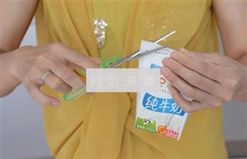 红枣木瓜炖牛奶怎么做，红枣木瓜炖牛奶怎么做好吃，红枣木瓜炖牛奶做法