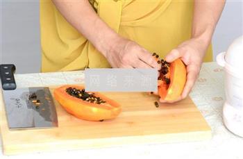 红枣木瓜炖牛奶怎么做，红枣木瓜炖牛奶怎么做好吃，红枣木瓜炖牛奶做法
