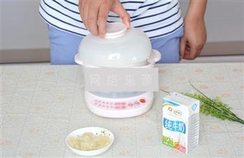 红枣木瓜炖牛奶怎么做，红枣木瓜炖牛奶怎么做好吃，红枣木瓜炖牛奶做法