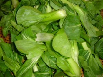 蒜蓉油菜怎么做，蒜蓉油菜怎么做好吃，蒜蓉油菜做法