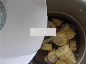 玉米煮排骨怎么做，玉米煮排骨怎么做好吃，玉米煮排骨做法