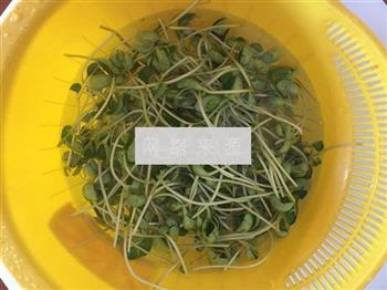 皮蛋火腿豆苗汤怎么做，皮蛋火腿豆苗汤怎么做好吃，皮蛋火腿豆苗汤做法