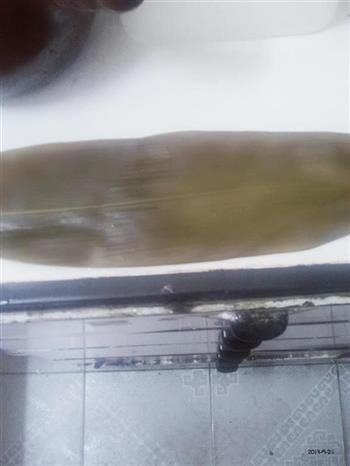水晶西米粽怎么做，水晶西米粽怎么做好吃，水晶西米粽做法