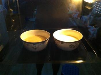 鲜牛奶炖蛋怎么做，鲜牛奶炖蛋怎么做好吃，鲜牛奶炖蛋做法