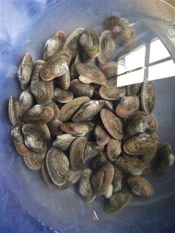 美味花甲怎么做，美味花甲怎么做好吃，美味花甲做法