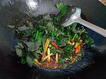 紫苏炒花甲螺怎么做，紫苏炒花甲螺怎么做好吃，紫苏炒花甲螺做法