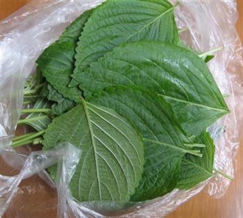 紫苏春卷怎么做，紫苏春卷怎么做好吃，紫苏春卷做法