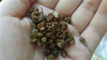尖椒炒小鱼怎么做，尖椒炒小鱼怎么做好吃，尖椒炒小鱼做法