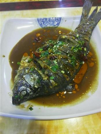 家常  红烧鱼怎么做，家常  红烧鱼怎么做好吃，家常  红烧鱼做法