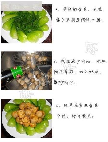 蚝油草菇扒菜胆怎么做，蚝油草菇扒菜胆怎么做好吃，蚝油草菇扒菜胆做法