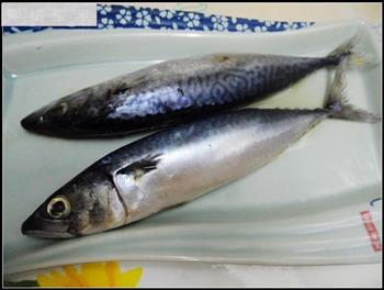 豆瓣青鱼怎么做，豆瓣青鱼怎么做好吃，豆瓣青鱼做法