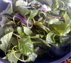 蒜蓉苋菜怎么做，蒜蓉苋菜怎么做好吃，蒜蓉苋菜做法