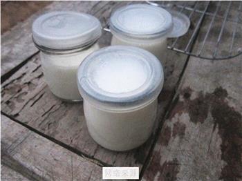 电炖锅制作酸奶怎么做，电炖锅制作酸奶怎么做好吃，电炖锅制作酸奶做法