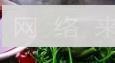 南乳空心菜怎么做，南乳空心菜怎么做好吃，南乳空心菜做法