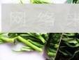 南乳空心菜怎么做，南乳空心菜怎么做好吃，南乳空心菜做法