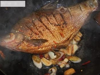 红烧鳊鱼炖豆腐怎么做，红烧鳊鱼炖豆腐怎么做好吃，红烧鳊鱼炖豆腐做法