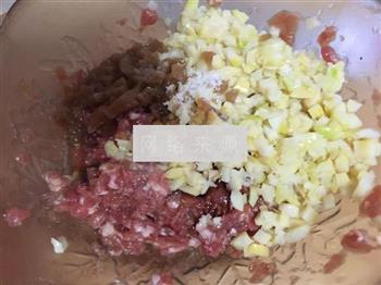 笋肉烧卖怎么做，笋肉烧卖怎么做好吃，笋肉烧卖做法