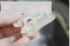 蛏子鱼露炒通菜怎么做，蛏子鱼露炒通菜怎么做好吃，蛏子鱼露炒通菜做法