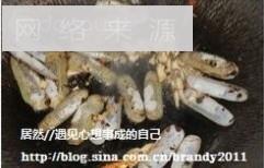 蛏子鱼露炒通菜怎么做，蛏子鱼露炒通菜怎么做好吃，蛏子鱼露炒通菜做法