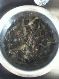 炒河虾怎么做，炒河虾怎么做好吃，炒河虾做法