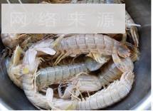 豉椒皮皮虾怎么做，豉椒皮皮虾怎么做好吃，豉椒皮皮虾做法