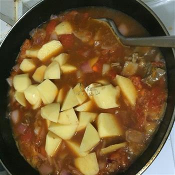 番茄牛肉蔬菜汤怎么做，番茄牛肉蔬菜汤怎么做好吃，番茄牛肉蔬菜汤做法