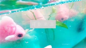 萌猫嬉鱼怎么做，萌猫嬉鱼怎么做好吃，萌猫嬉鱼做法