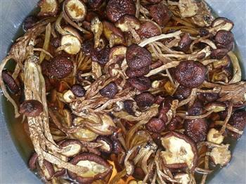茶树菇排骨养生汤怎么做，茶树菇排骨养生汤怎么做好吃，茶树菇排骨养生汤做法