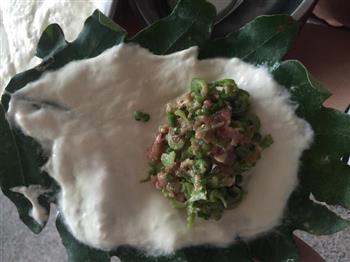 博洛叶饼怎么做，博洛叶饼怎么做好吃，博洛叶饼做法