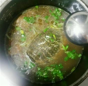 滋补甲鱼汤怎么做，滋补甲鱼汤怎么做好吃，滋补甲鱼汤做法