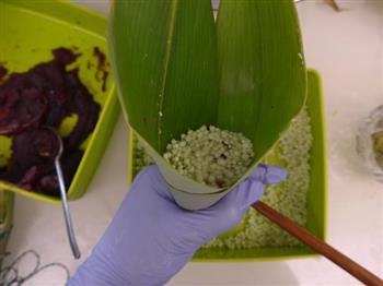 绿茶西米红豆粽子怎么做，绿茶西米红豆粽子怎么做好吃，绿茶西米红豆粽子做法